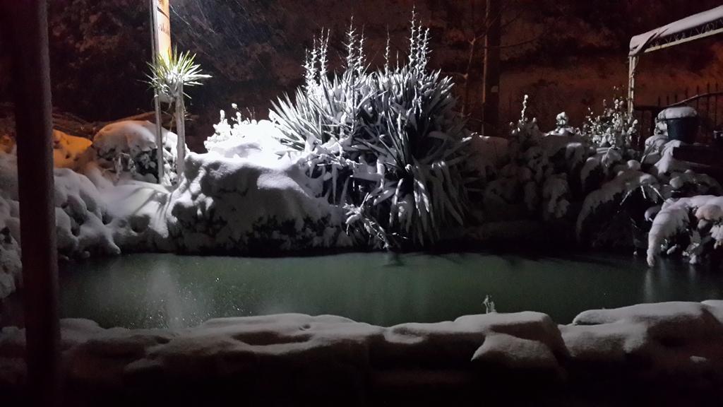 Alesta Butik Otel Ağva エクステリア 写真