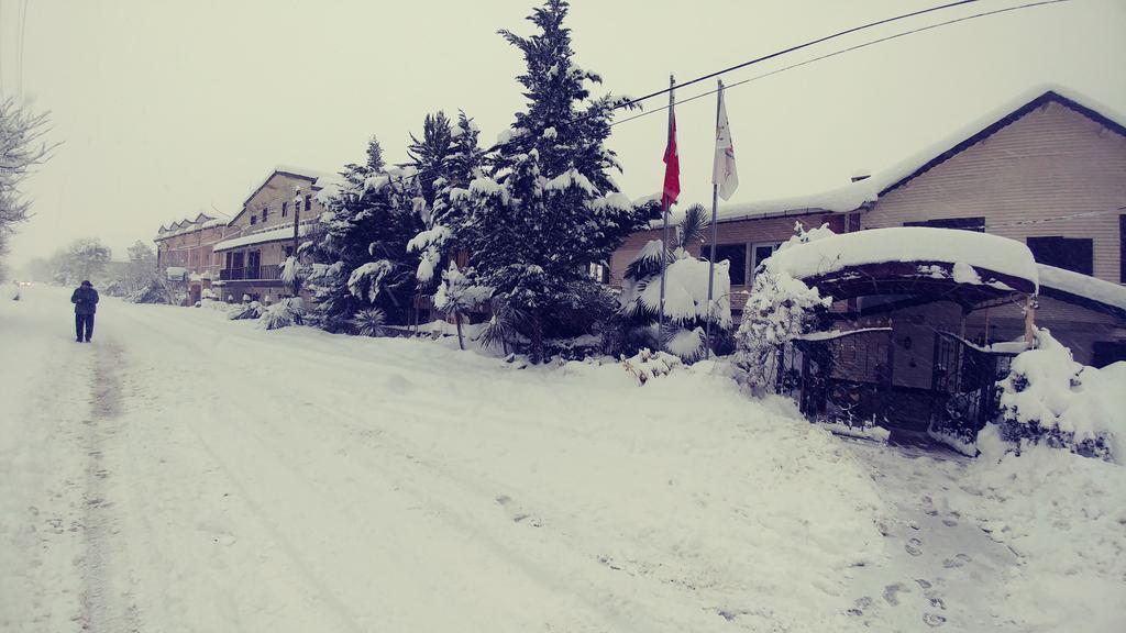 Alesta Butik Otel Ağva エクステリア 写真